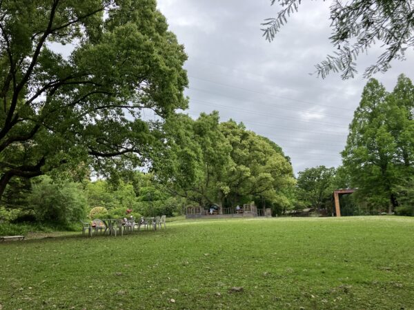 服部緑地,植物園,5月