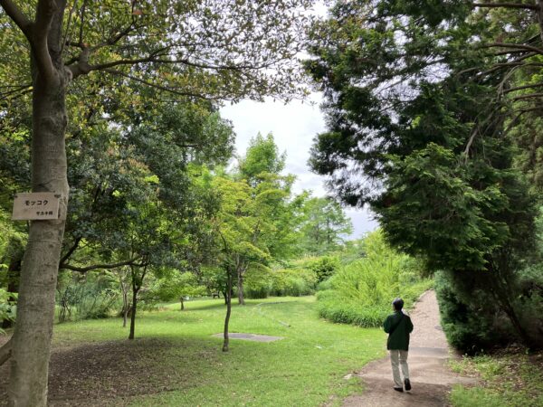 服部緑地,植物園,5月