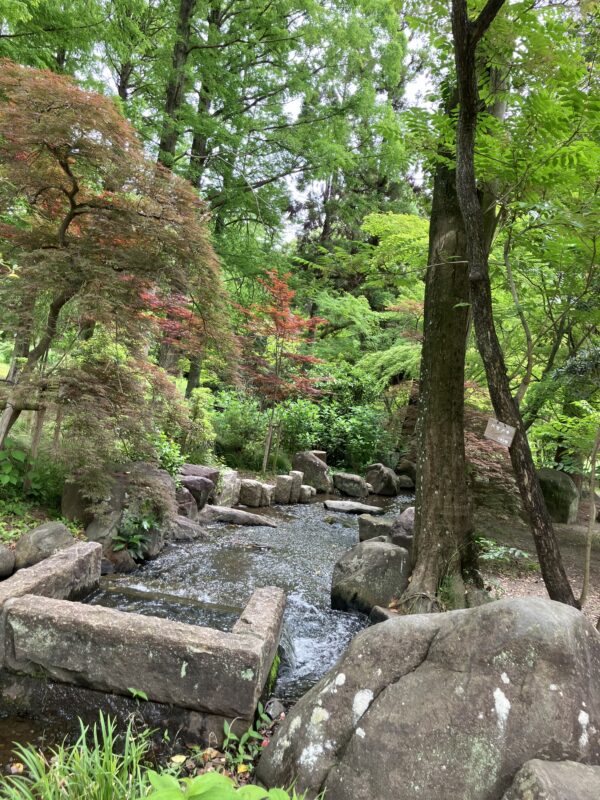 服部緑地,植物園,5月